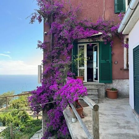 Amazing Flat At The Heart Of 5 Terre National Park Appartement Vernazza Buitenkant foto