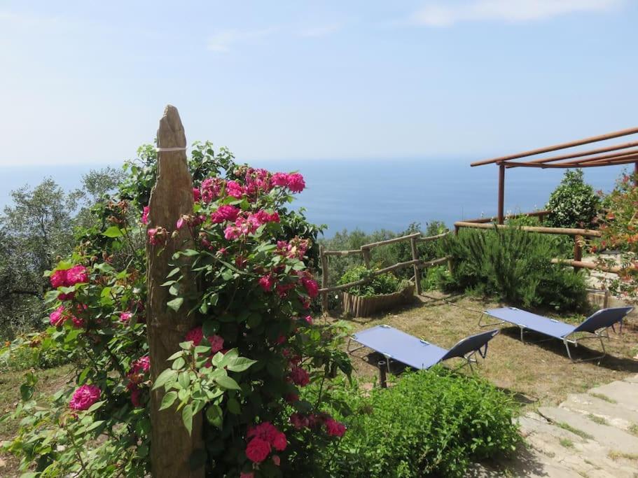 Amazing Flat At The Heart Of 5 Terre National Park Appartement Vernazza Buitenkant foto